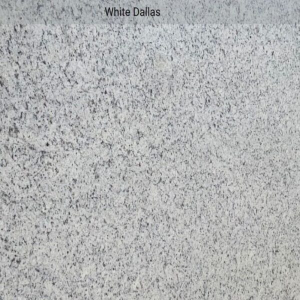 White Dallas 2 cm